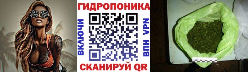 Купить наркотики цена Ардон МАРИХУАНА  гидра как зайти  Alpha PVP  Вейп ТГК  Меф  КОКАИН 