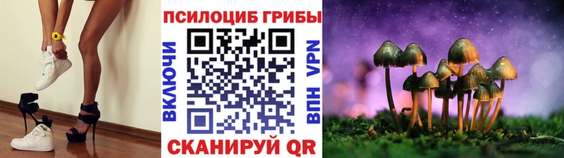 мега ССЫЛКА  Ардон  Псилоцибиновые грибы мухоморы  где можно купить  